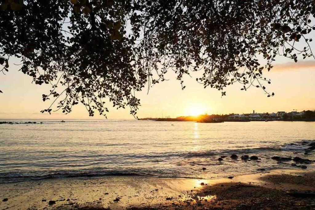Appartement A 2 Pas De La Plage De Terre Sainte Bagian luar foto